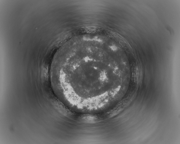 X0000111650610200908141253