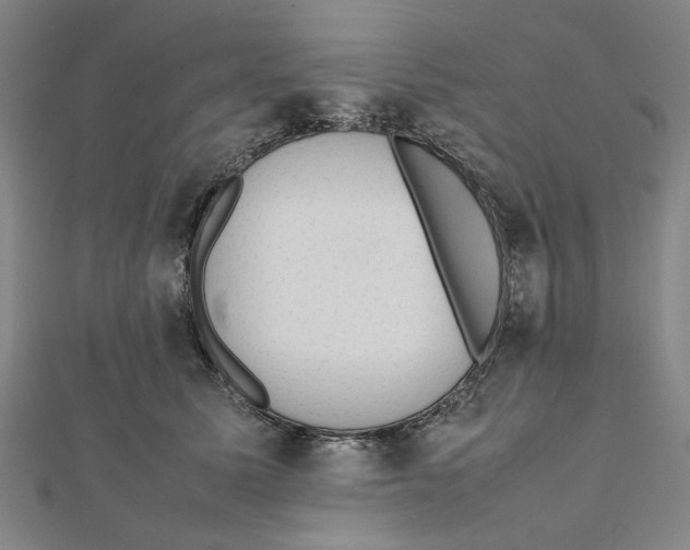 X0000111650611200908141253