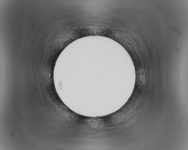 X0000111650615200908141253
