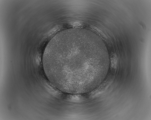 X0000111650618200908141253
