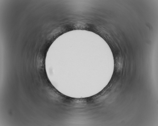 X0000111650619200908141253