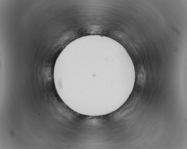 X0000111650620200908141253