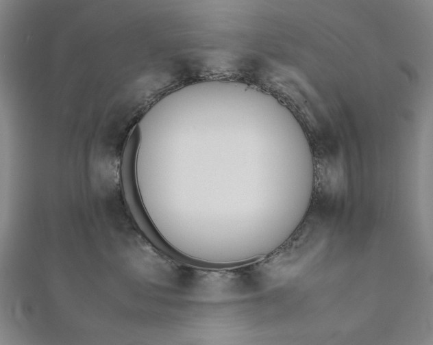 X0000111650621200908141253