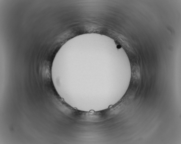 X0000111650622200908141253