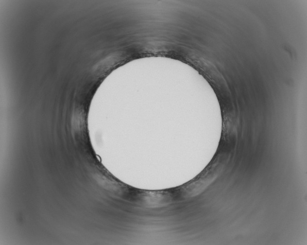X0000111650623200908141253