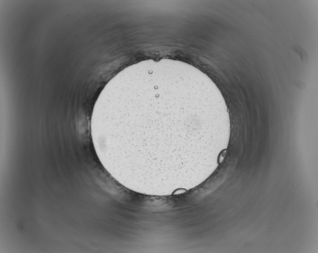 X0000111650624200908141253