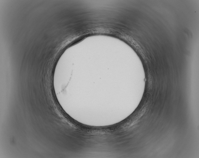 X0000111650625200908141252