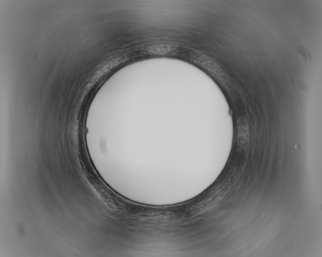 X0000111650626200908141252