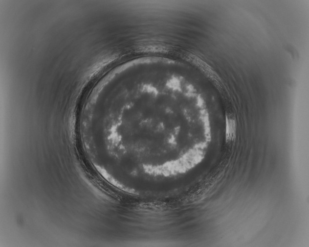 X0000111650627200908141252