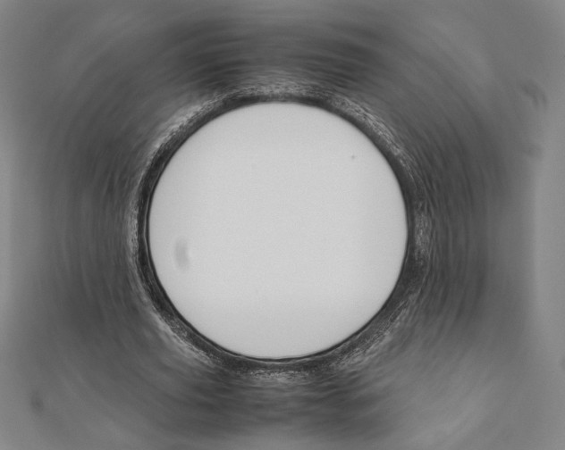 X0000111650629200908141252