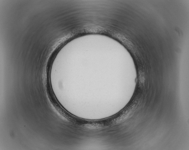 X0000111650630200908141252