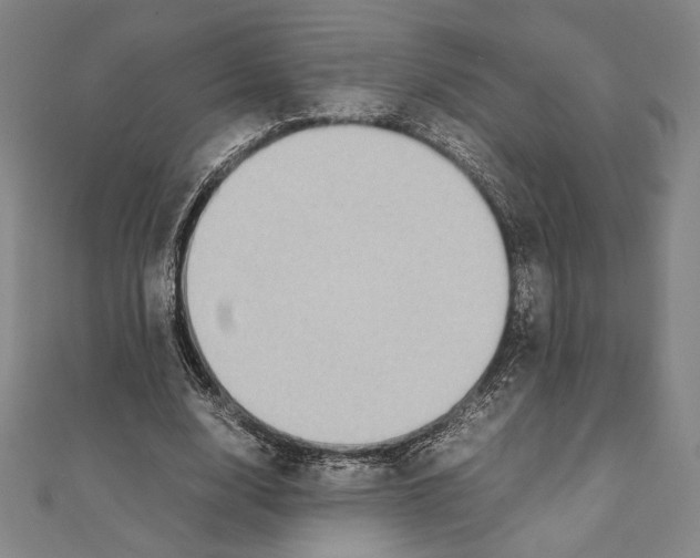 X0000111650632200908141252
