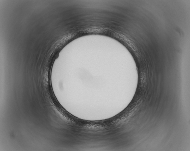 X0000111650633200908141252