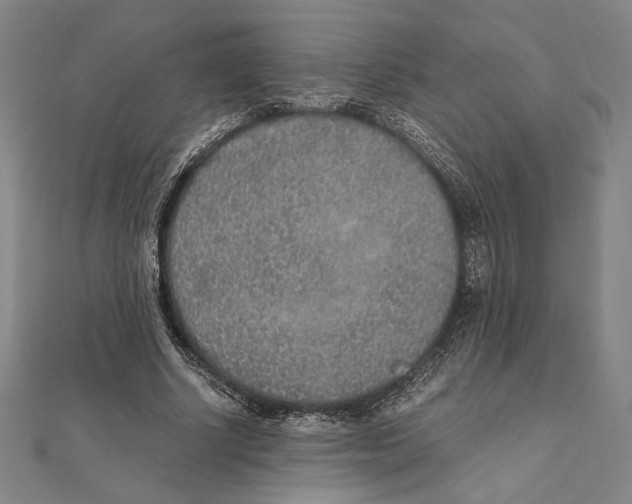 X0000111650634200908141252