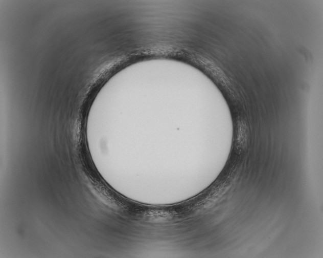 X0000111650636200908141252