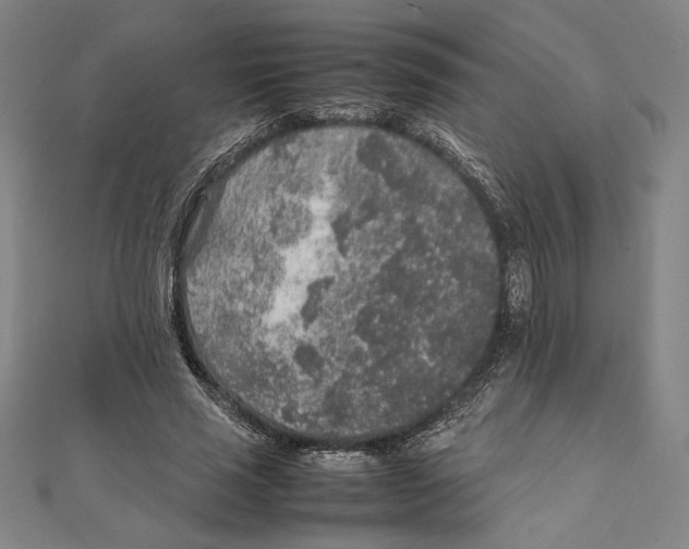 X0000111650637200908141252