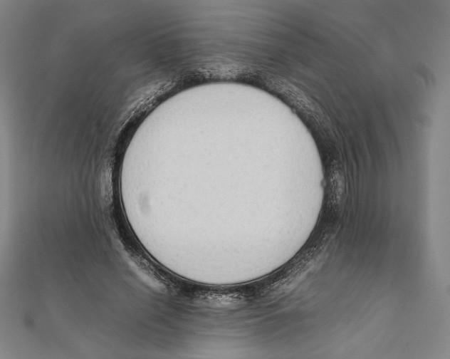 X0000111650638200908141252