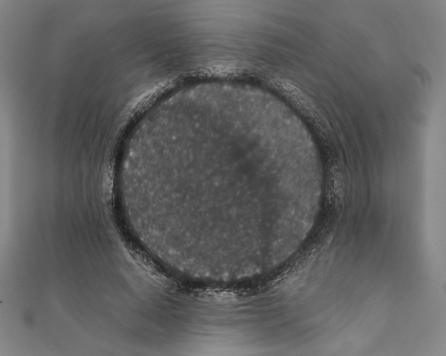 X0000111650640200908141252