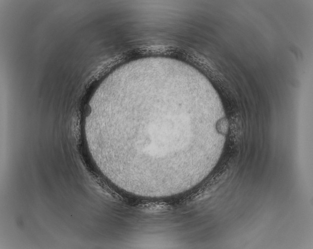 X0000111650642200908141252