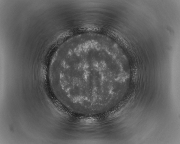 X0000111650643200908141252