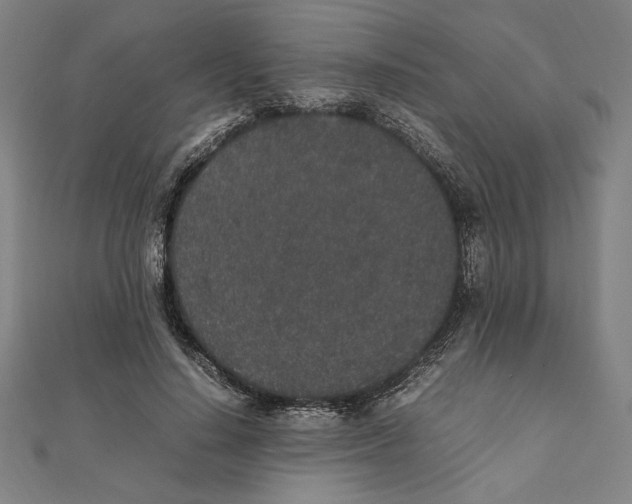 X0000111650644200908141252