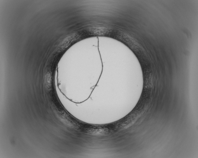 X0000111650646200908141252