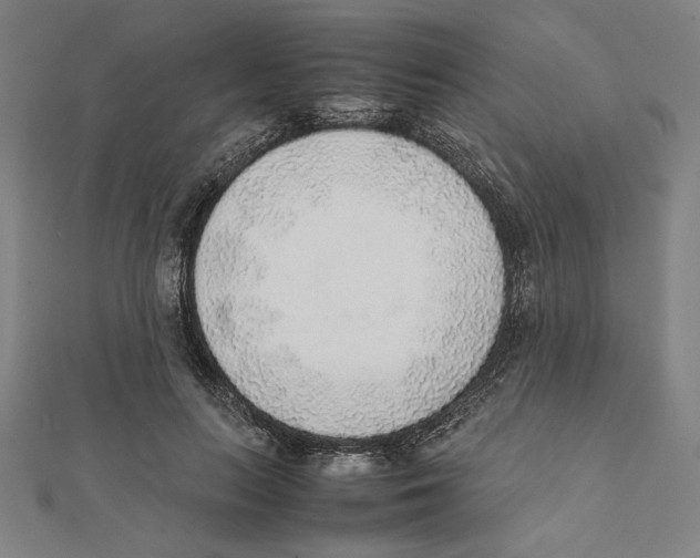 X0000111650647200908141252