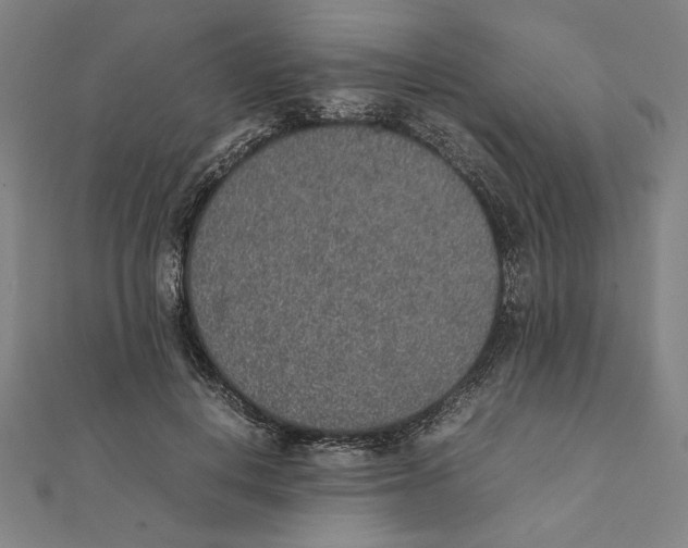 X0000111650648200908141252