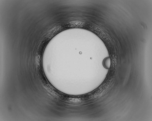X0000111650649200908141253