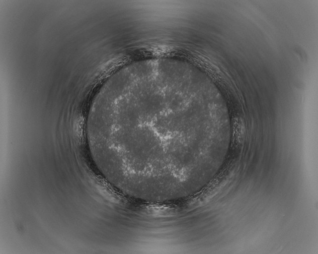 X0000111650650200908141253