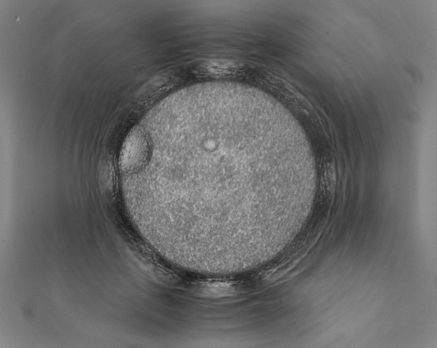X0000111650651200908141253