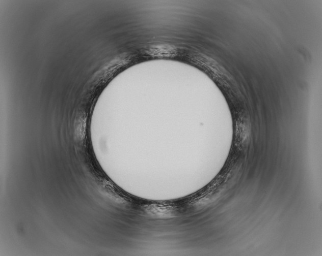 X0000111650652200908141253