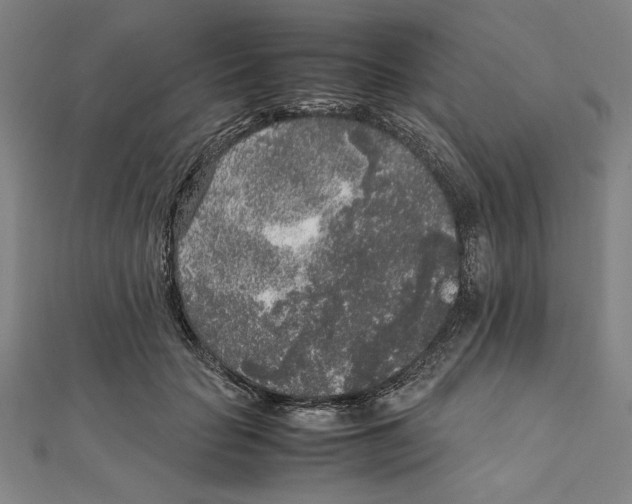 X0000111650653200908141253