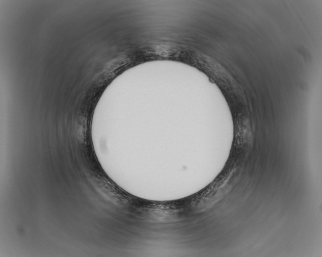 X0000111650656200908141253