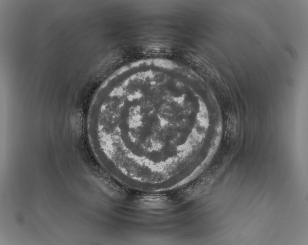 X0000111650659200908141253