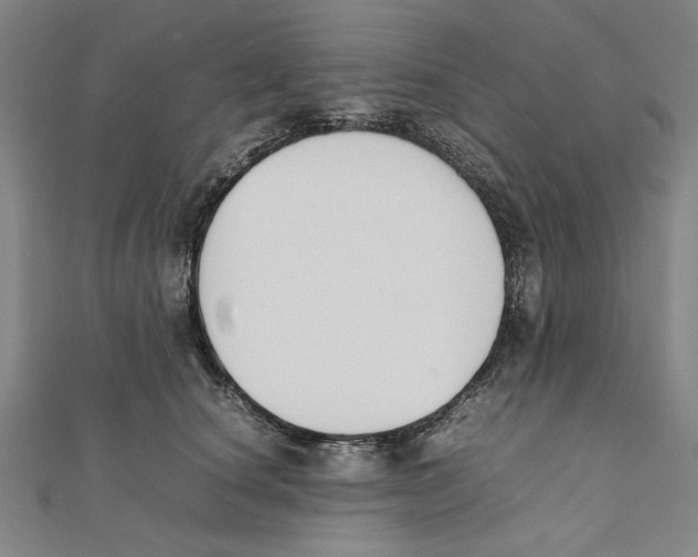 X0000111650660200908141253