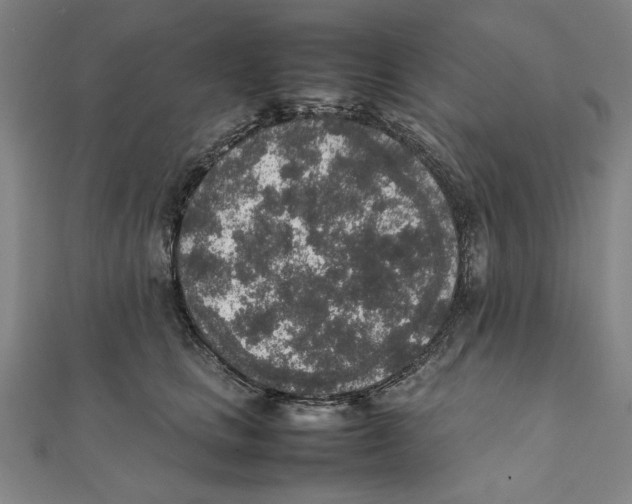 X0000111650661200908141253