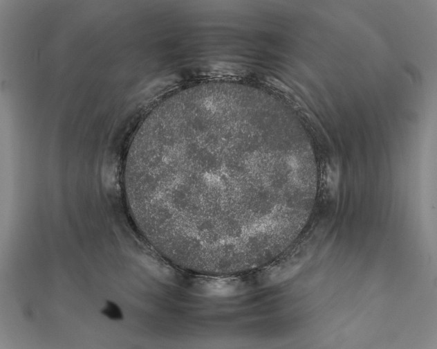 X0000111650663200908141253