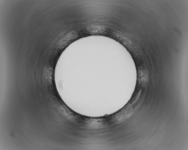 X0000111650664200908141253