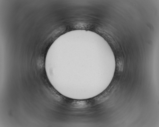 X0000111650665200908141253