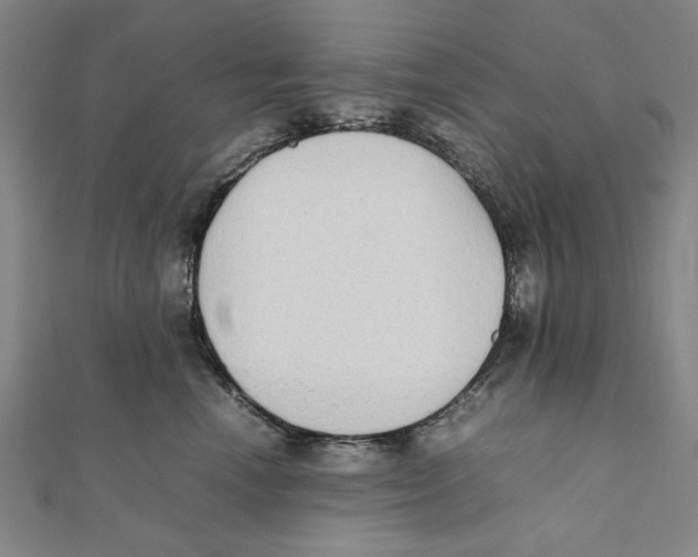 X0000111650666200908141253