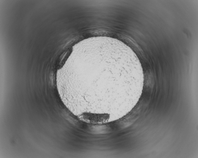 X0000111650669200908141253