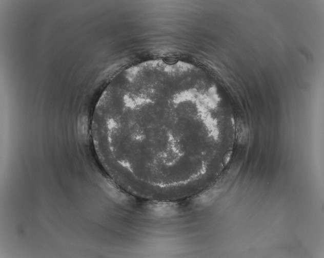 X0000111650670200908141253