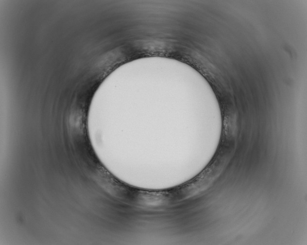 X0000111650671200908141253
