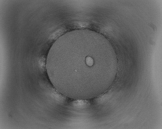 X0000111650672200908141253