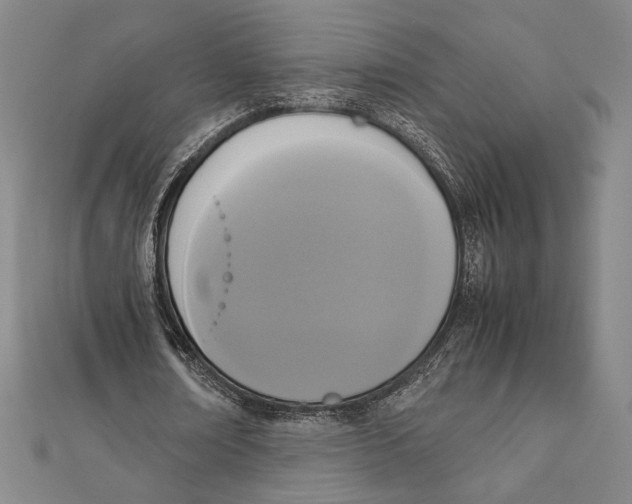 X0000111650674200908141252