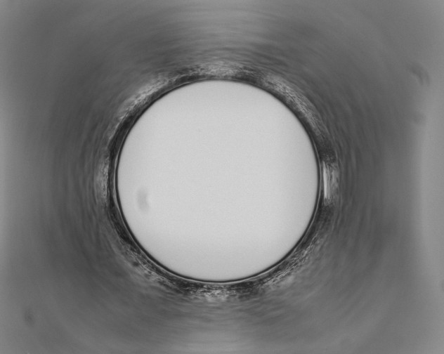 X0000111650675200908141252