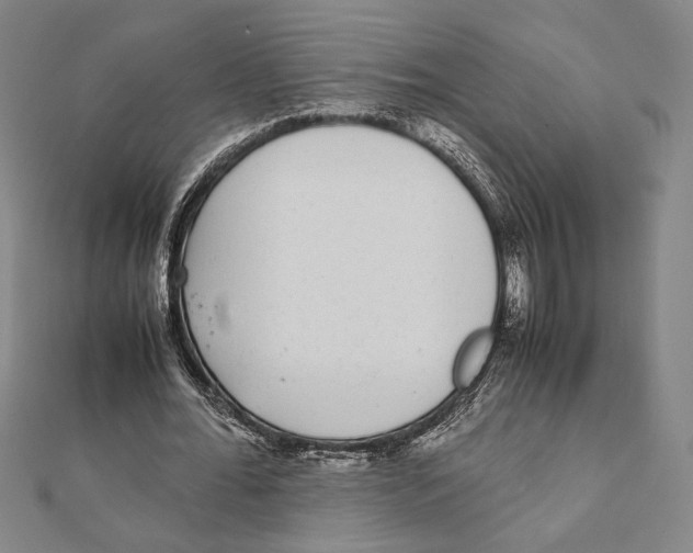 X0000111650676200908141252