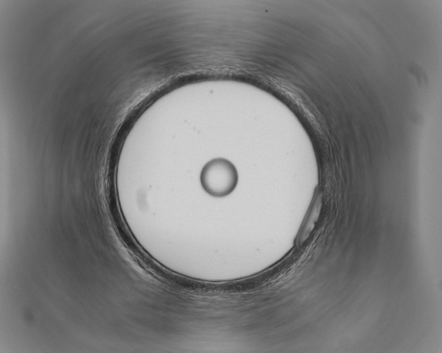 X0000111650677200908141252