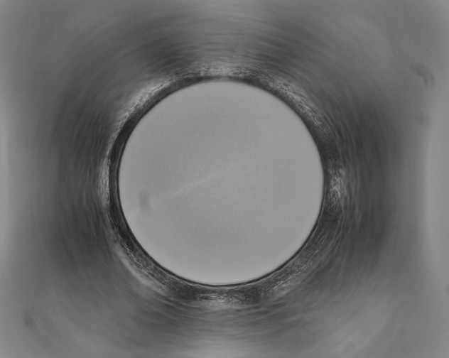X0000111650678200908141252